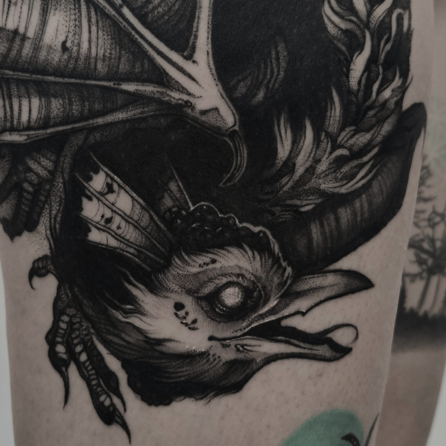 White Rat Tattoo studio tatuażu Warszawa Foxey tatuaż Kuroliszek